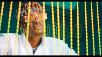 VIDEO: Hamadai Ft. Shetta - Madoido (Mp4 Download) - KibaBoy