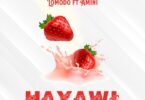 Audio: Lomodo Ft. Amini - Hayawi (Mp3 Download) - KibaBoy