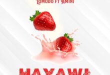 Audio: Lomodo Ft. Amini - Hayawi (Mp3 Download) - KibaBoy