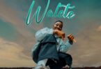 Audio: Manengo Ft Nacha - Walete (Mp3 Download) - KibaBoy