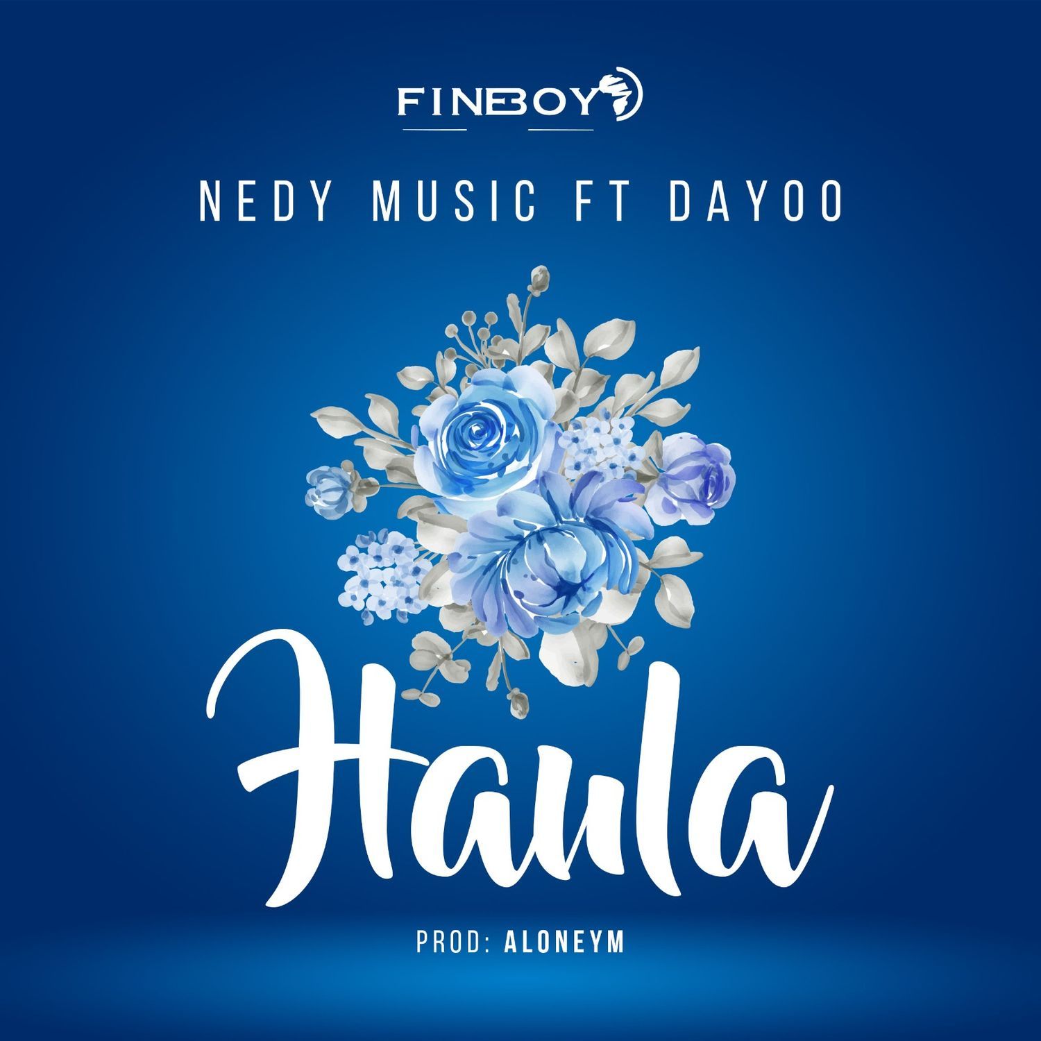 Audio: Nedy Music Ft. Dayoo - Haula (Mp3 Download) - KibaBoy