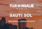 Audio: Sauti Sol Ft. Wakadinali & Buruklyn Boyz - Tujiangalie Remix (Mp3 Download)