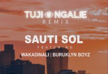 Audio: Sauti Sol Ft. Wakadinali & Buruklyn Boyz - Tujiangalie Remix (Mp3 Download) - KibaBoy