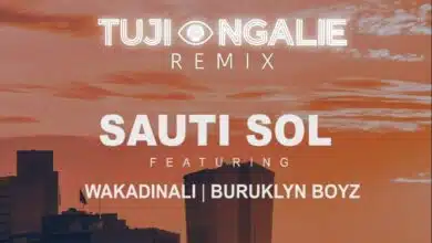 Audio: Sauti Sol Ft. Wakadinali & Buruklyn Boyz - Tujiangalie Remix (Mp3 Download)