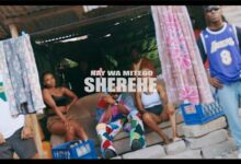 VIDEO: Nay Wa Mitego - Sherehe (Mp4 Download) - KibaBoy