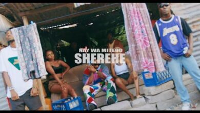 VIDEO: Nay Wa Mitego - Sherehe (Mp4 Download) - KibaBoy