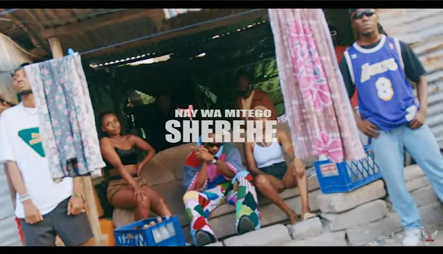 VIDEO: Nay Wa Mitego - Sherehe (Mp4 Download)