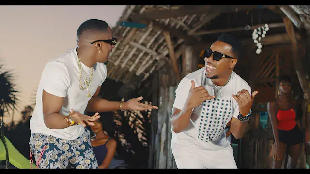 VIDEO: Nay Wa Mitego Ft Jux - Starehe Yako (Mp4 Download)