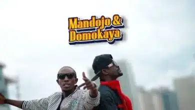 VIDEO: Mandojo X Domokaya - Nikupe Nini (Mp4 Download)