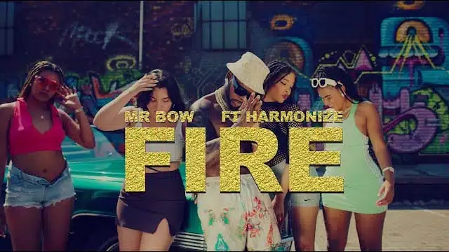 VIDEO: Mr Bow Ft Harmonize - Fire (Mp4 Download)
