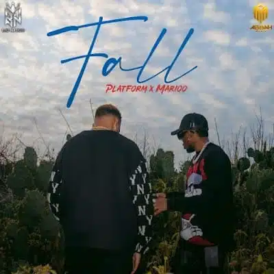 Audio: Platform Ft Marioo - Fall (Mp3 Download)