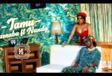 VIDEO: Barnaba Ft. Nandy - Tamu (Mp4 Download) - KibaBoy