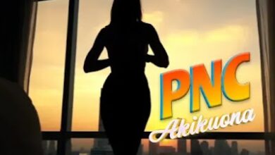 Audio: PNC - Akikuona (Mp3 Download) - Kibaboy