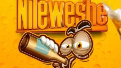 Audio: Platform - Nileweshe (Mp3 Download) - KibaBoy