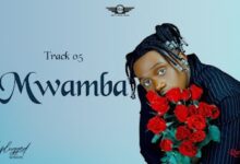 Audio: Rayvanny - Mwamba (Mp3 Download) - KibaBoy