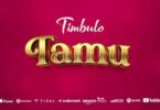 Audio: Timbulo - Tamu (Mp3 Download) - KibaBoy