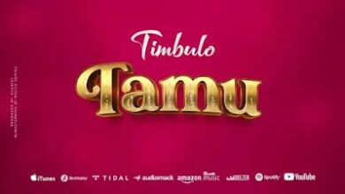 Audio: Timbulo - Tamu (Mp3 Download) - KibaBoy