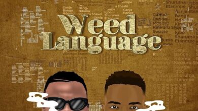 Audio: Harmonize Ft. Konshens - Weed Language (Mp3 Download) - KibaBoy