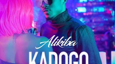 Audio: Alikiba - Kadogo (Mp3 Download) - KibaBoy