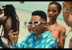 VIDEO: Billnass Ft. Jay Melody - Puuh (Mp4 Download) - KibaBoy