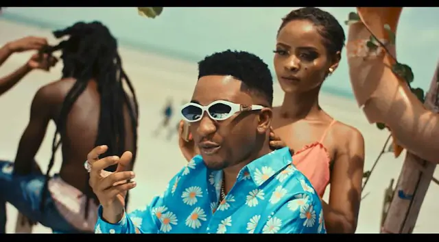 VIDEO | Billnass Ft. Jay Melody - Puuh | Mp4 Download