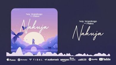 Audio: Nay Wa Mitego Ft Phina - Nakuja (Mp3 Download) - KibaBoy