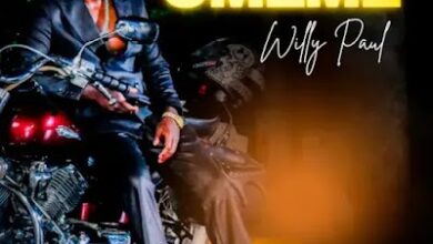 Audio: Willy Paul - Umeme (Mp3 Download) - KibaBoy