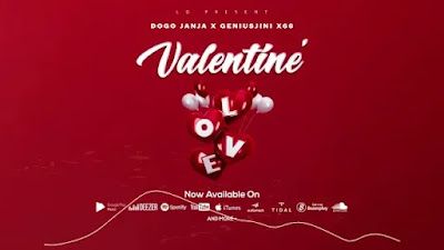 AUDIO | Dogo Janja Ft. Geniusjini X66 - Valentine | Mp3 DOWNLOAD