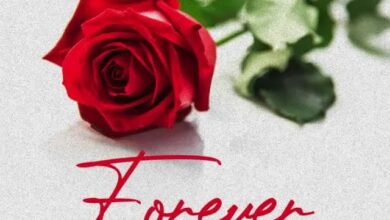 Audio: Lody Music Ft. Nandy - Forever (Mp3 Download) - KibaBoy