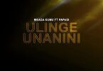 Audio: Msaga Sumu Ft Papasi - Ulinge Unanini (Mp3 Download) - KibaBoy