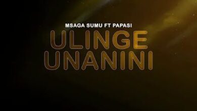 Audio: Msaga Sumu Ft Papasi - Ulinge Unanini (Mp3 Download) - KibaBoy