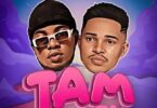 Audio: Ril Vin Ft. Platform - Tam Tam (Mp3 Download) - KibaBoy