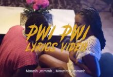 Lyrics VIDEO: Mavokali - Pwi Pwi (Mp4 Download) - KibaBoy