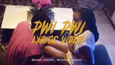 Lyrics VIDEO: Mavokali - Pwi Pwi (Mp4 Download) - KibaBoy