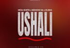 Audio: Meja Kunta Ft Kidochu Mc X Elisha - Ushali (Mp3 Download) - KibaBoy