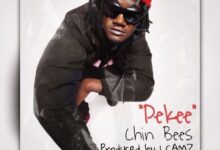 Audio: Chin Bees - Pekee (Mp3 Download) - KibaBoy