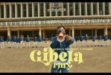 VIDEO: Chino Kidd X Rayvanny Ft. S2kizzy & Mfana Kah Gogo - GIBELA REMIX (Mp4 Download) - KibaBoy