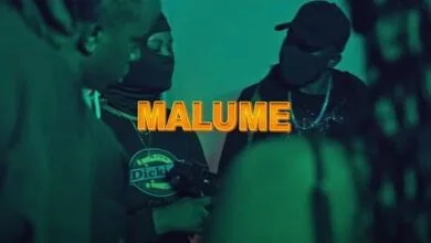 VIDEO: Moni Centrozone Ft Q Chief - Dr Malume (Mp4 Download)