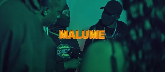 VIDEO | Moni Centrozone Ft Q Chief - Dr Malume | Mp4 Download
