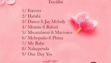 Audio: Rayvanny Ft. Jay Melody - Dance (Mp3 Download)