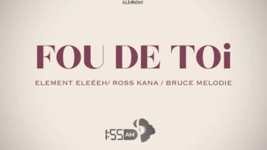 Audio: Element Eleéeh Ft Ross Kana & Bruce Melodie - Fou De Toi (Mp3 Download) - KibaBoy