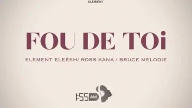 Audio: Element Eleéeh Ft Ross Kana & Bruce Melodie - Fou De Toi (Mp3 Download)