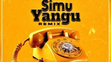 Audio: Mzee Wa Bwax X Mbrazil - Simu Yangu Remix (Mp3 Download)