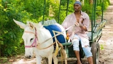 VIDEO: Walter Chilambo Ft. Jux - Success (Mp4 Download)