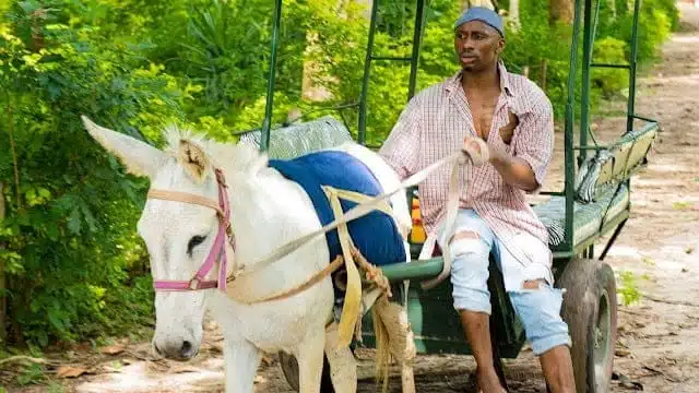 VIDEO | Walter Chilambo Ft. Jux - Success | Mp4 Download