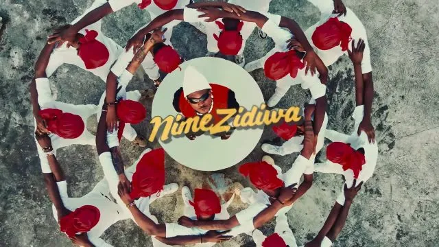 VIDEO | Kayumba Ft. Mr Blue - NIMEZIDIWA | Mp4 Download