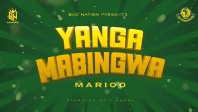 Audio: Marioo - Yanga Mabingwa (Mp3 Download)