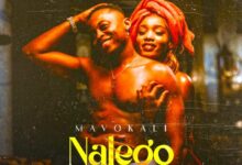 Audio: Mavokali - Nalego (Mp3 Download) - KibaBoy