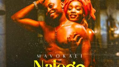 Audio: Mavokali - Nalego (Mp3 Download) - KibaBoy