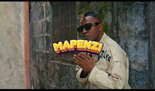 VIDEO | Mzee Wa Bwax - Mapenzi | Mp4 Download